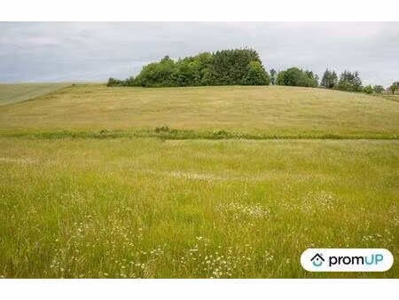 vente terrain 1340 m² ham-les-moines (08090)