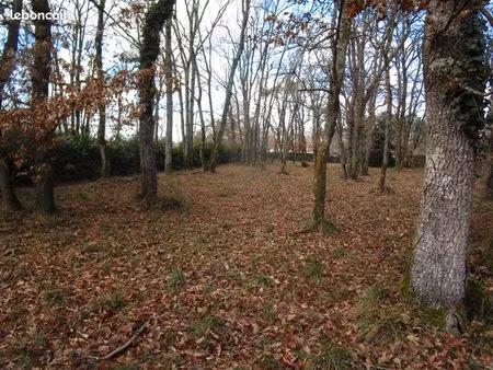 terrain 2 053 m² saint martial d artenset