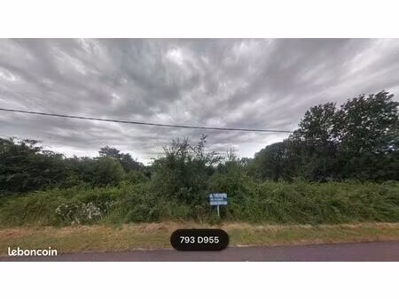 grand terrain de 3445m2 treigny (89)