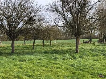 vente terrain à vaux-sur-aure (14400) : à vendre / 280m² vaux-sur-aure