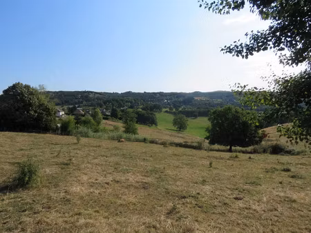 vente terrain 4789 m² à voutezac (19130)  55 000 €