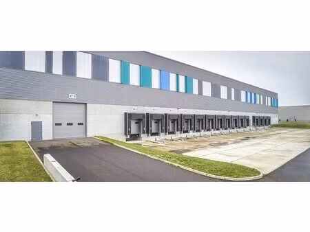location entrepôt / local d'activités ensisheim 25 208 m²