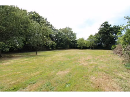 terrain plourhan - st quay portrieux 1054 m2  borné et viabilisé