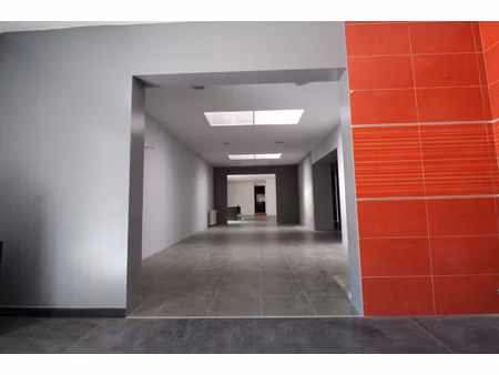 locaux commerciaux 450 m2