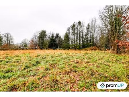 vente terrain 1468 m² peyrilhac (87510)