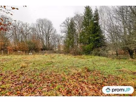 vente terrain 2200 m² peyrilhac (87510)