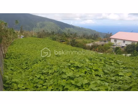 vente terrain 993 m² à saint joseph (97480)  119 000 €