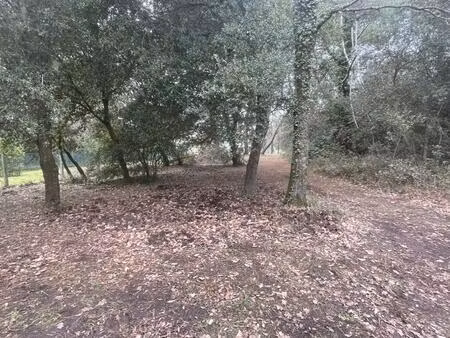 vente terrain 550 m² le grand-village-plage (17370)