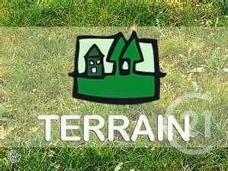 terrain à vendre - 1000 m2 - muides sur loire - 41 - centre