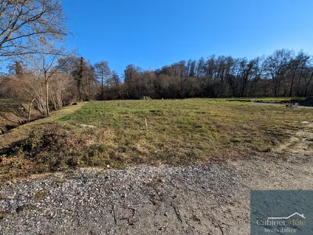 carignan de bordeaux