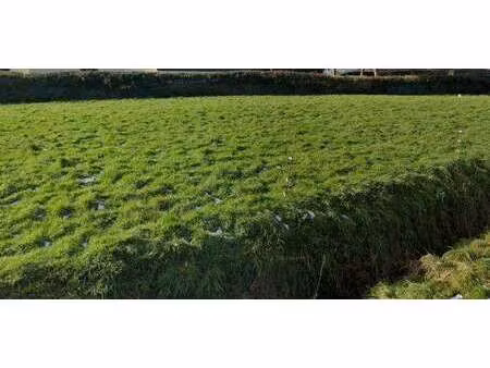 vente terrain à lamballe (22400) : à vendre / 610m² lamballe