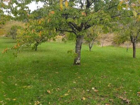 terrain 5500 m² saint-julien-l'ars