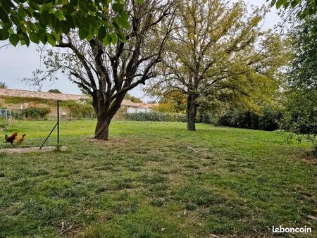 terrain plat constructible monbequi centre 985m2