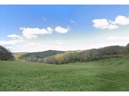 vente terrain 1500 m² vignols (19130)