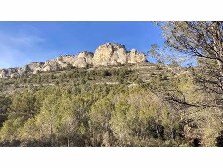 vente terrain 25775 m² à merindol (84360)  30 000 €