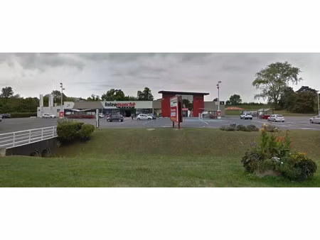 a vendre ensemble immobilier commercial pons 17