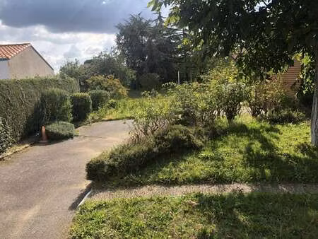 vente terrain à port-saint-père (44710) : à vendre / 455m² port-saint-père