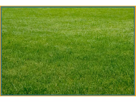 vente terrain 3172 m² à caen (14000)  250 000 €