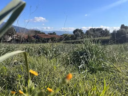 vente terrain 1100 m² à afa (20167)  230 000 €