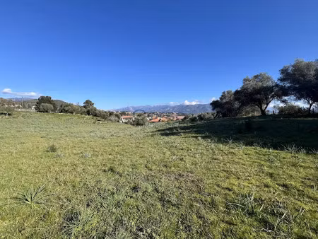 vente terrain 1100 m² à afa (20167)  250 000 €