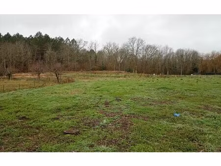 terrain rion-des-landes 1404 m² t- à vendre  78 650 €