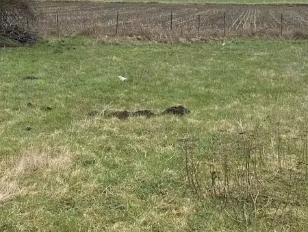 vente terrain 880 m² à leforest (62790)  83 000 €