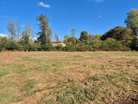 vente terrain 1678 m² à rion-des-landes (40370)  75 000 €