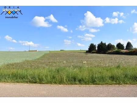 terrain 1 814 m² seicheprey