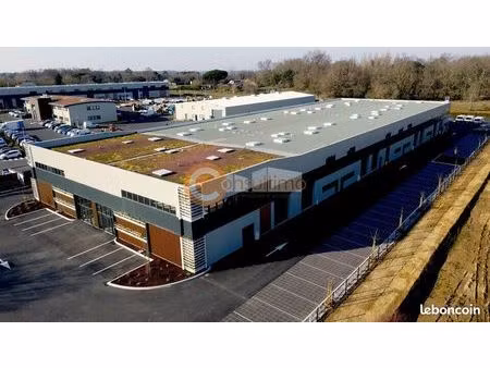 local d'activité 367 m²