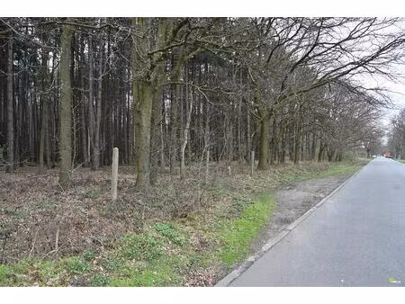 grond te koop in wachtebeke