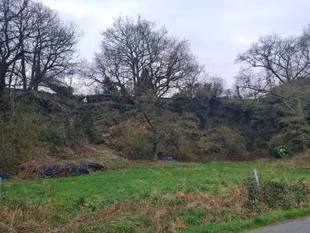 vente terrain à rohan (56580) : à vendre / 8566m² rohan