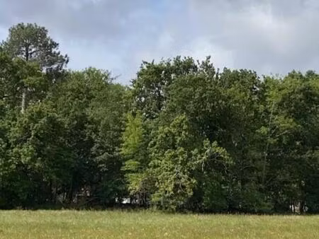 vente maison 4 pièces 85 m² sainte-eulalie-en-born (40200)