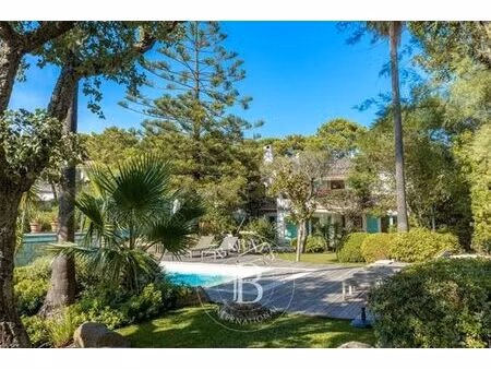 villa de luxe de 5 chambres en location lecci  corse