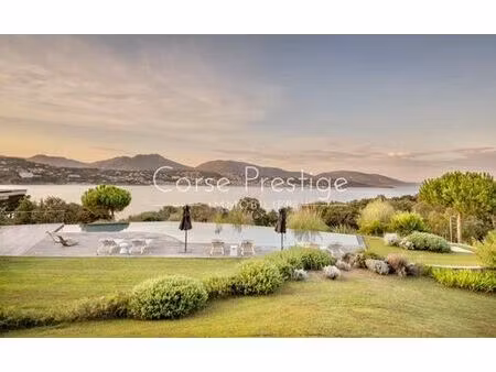 villa de luxe de 5 chambres en location propriano  france