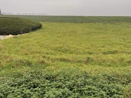 en vente terrain non constructible 1 348 m² – 59 800 € |wambaix