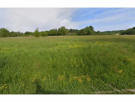 vente terrain 1200 m² à saint-martin-de-gurson (24610)  25 000 €