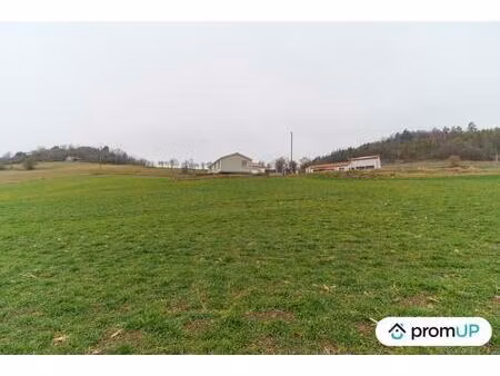 vente terrain 1263 m² beaulieu (43800)