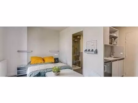 vente appartement 1 pièce 19 m² palaiseau (91120)