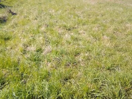 terain a vevdre le seure 17770