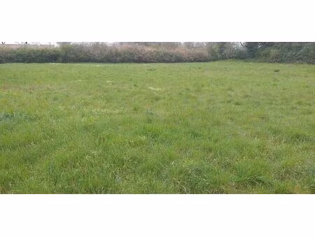 terrain constructible viabilisé à pleumartin