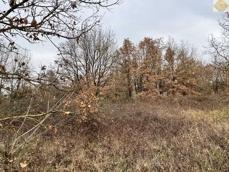 terrain de loisir de 4 930 m² à yzeures sur creuse