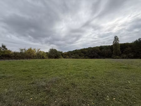 terrain 10444 m2 marignac laspeyres