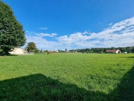 vente terrain 2215 m² rimaucourt (52700)