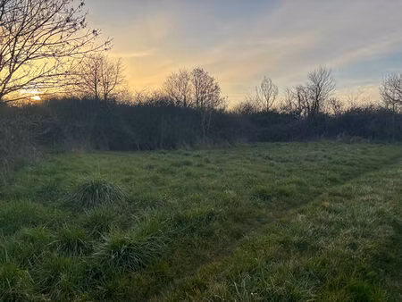 diverses parcelles en nature de terre et taillis à leigne les bois