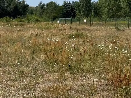 vente terrain 10000 m² wittelsheim (68310)