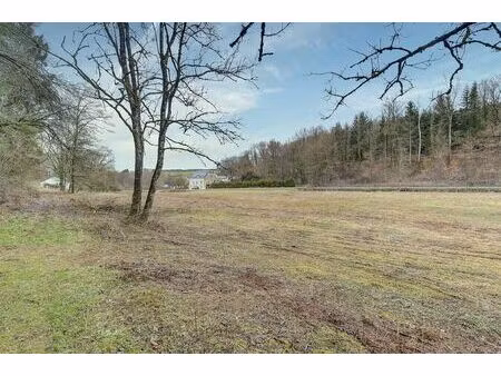 terrain agricole à vendre à route de florenville meix-devant-virton (vba82604)