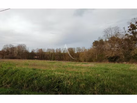 terrain constructible à ecueillé