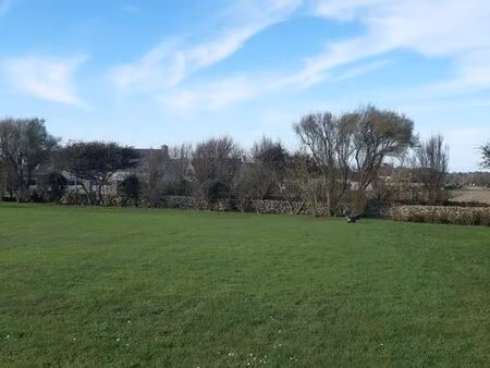 terrain constructible