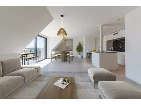 duplex à vendre à strijpenplein 10 strijpen (rbi06889)