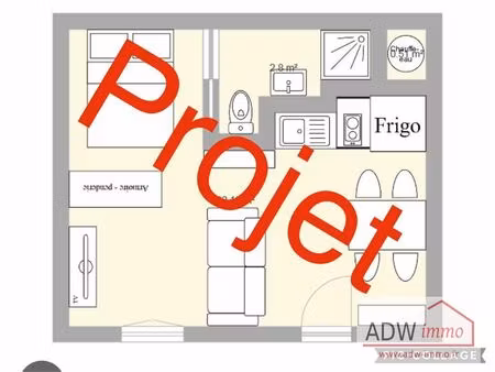 projet special investissement